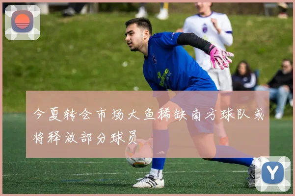 今夏转会市场大鱼稀缺南方球队或将释放部分球员