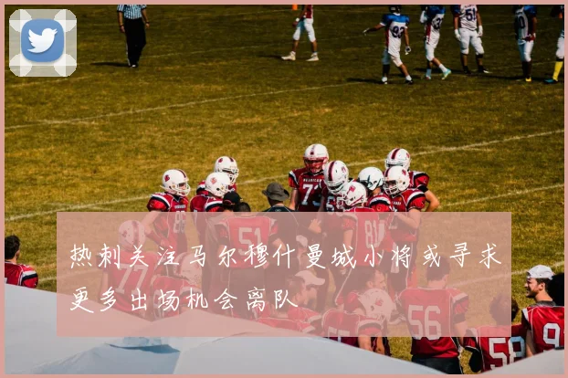 热刺关注马尔穆什曼城小将或寻求更多出场机会离队