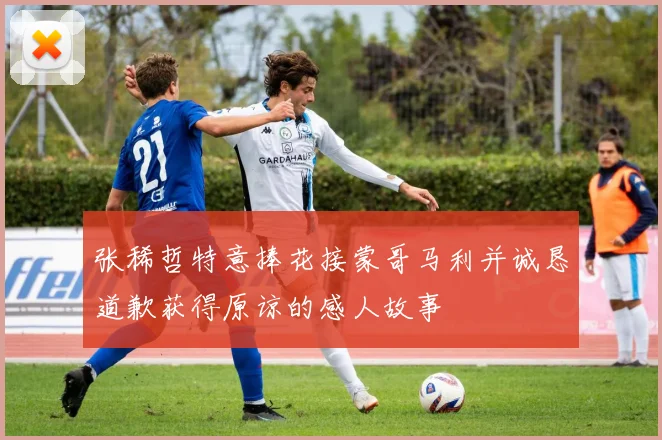 张稀哲特意捧花接蒙哥马利并诚恳道歉获得原谅的感人故事